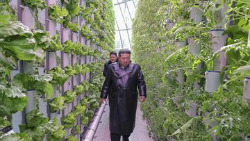 Kondisi Kim Jong-un Terungkap: Obesitas Ekstrem 140 Kg Ancam Nyawa