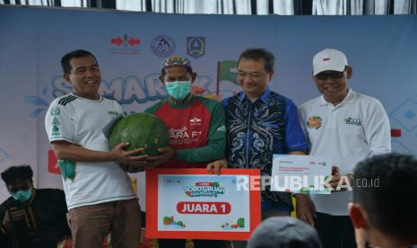 Temuan Gila: Petani Nagara Panen Semangka 14 Kg di Tengah Cuaca Ekstrem
