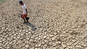 El Nino 2026: Mengapa Menahan Hingga Februari 2027 Menggerakkan Krisis Pangan Global