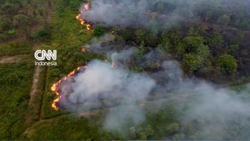 17.434 Kasus ISPA di Palembang: Analisis Krisis Karhutla