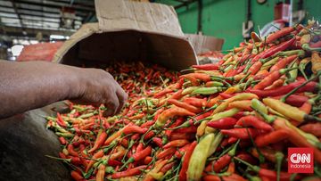 Harga Cabai Rawit Makin Pedas, Hampir Tembus Rp100 Ribu per Kg