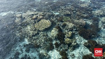 Bermalam di Kepulauan Fam: Eksplorasi Keindahan Karst Raja Ampat yang Tak Terlupakan