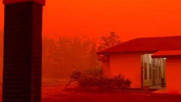 Langit Kalimantan Merah Pekat, Dampak Karhutla