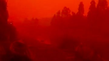 Langit Kalimantan Merah Jambu: Ahli Bongkar Fenomena Viral Ini