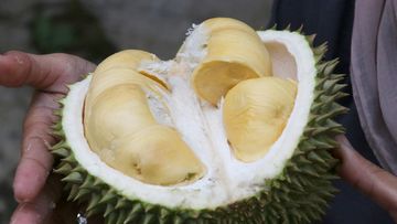 AI Bantu Thailand Tingkatkan Kualitas Durian, Hasilnya Menggiurkan