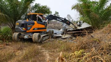 Tim TNI, Polri & IKN Tertibkan Bangunan Liar di Bukit Soeharto