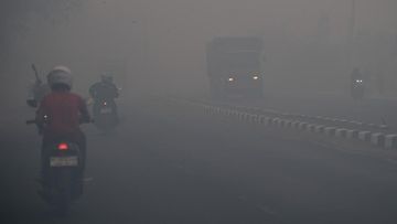 Lonjakan ISPA Jatim Tembus 200 Ribu: Dampak Kabut Karhutla
