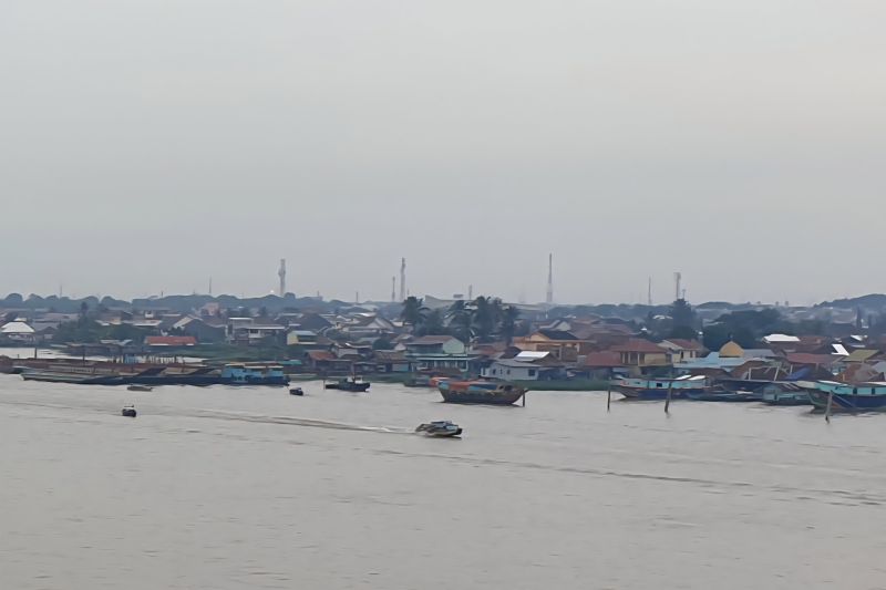 Sumsel Kembangkan Kampung Budi Daya Ikan, Targetkan Produksi Naik