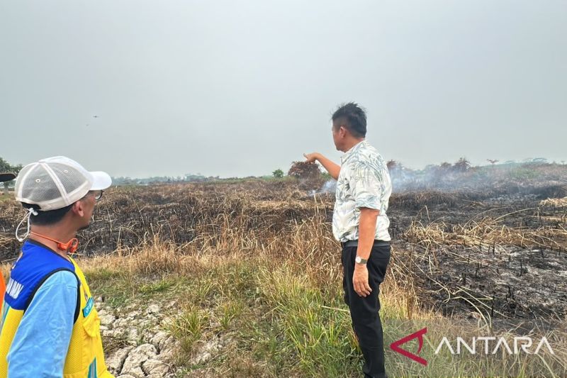 Analisis: Strategi OKU Timur Lawan Karhutla, Mengapa Excavator Jadi Senjata Utama?