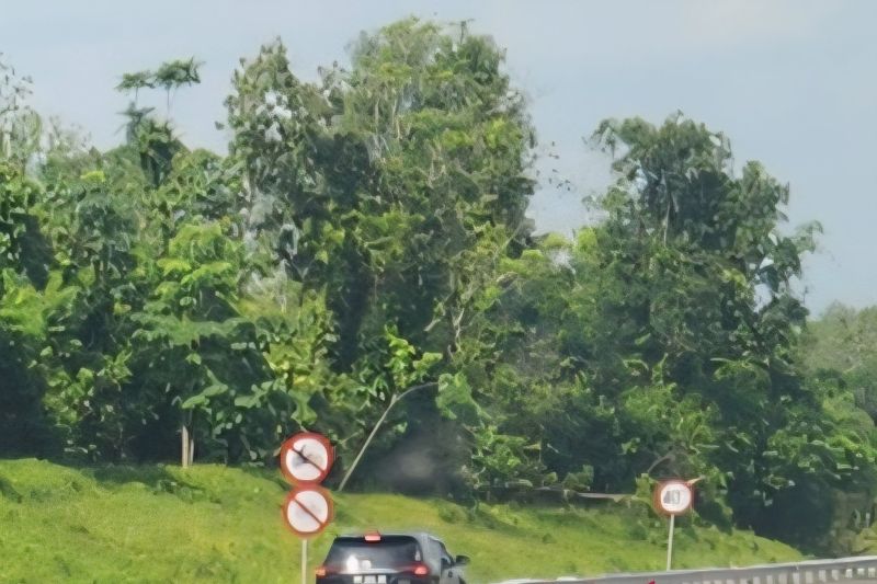 Di Balik Korem Gapo: Strategi Militer Selamatkan 3,5 Juta Hektare Hutan Sumsel