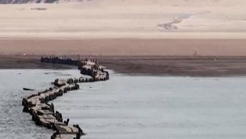 Danau Poyang Surut: Jembatan Ming Muncul, Sinyal Bahaya Ekologi?