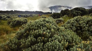 Muncul Blue Fire, Kunjungan Wisata ke Gunung Papandayan Dibatasi