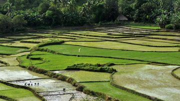 6 Destinasi Wisata Tidur di Asia, Ada dari Indonesia