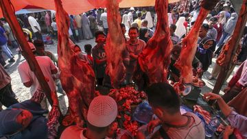 Analisis: Mengapa Agrifood Forum 2026 Jadi Penentu Arah Swasembada Protein