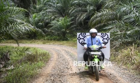 Dampak MBG: Pendorong Utama Rantai Pasok Pangan Daerah