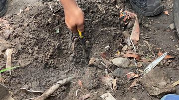Bila Gali Tanah Jakarta Tembus Kolombia, Bagaimana Jika dari Papua?