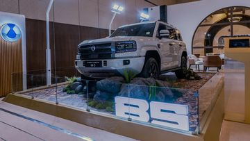 Denza Jadi Danza: Penyelesaian Sengketa Nama Perusahaan BYD
