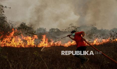 Karhutla Palangka Raya: 1.448 Hektare Terbakar, Krisis Ekologis